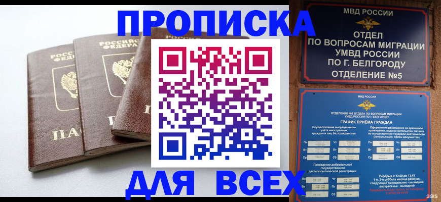 прописка в Ковдоре